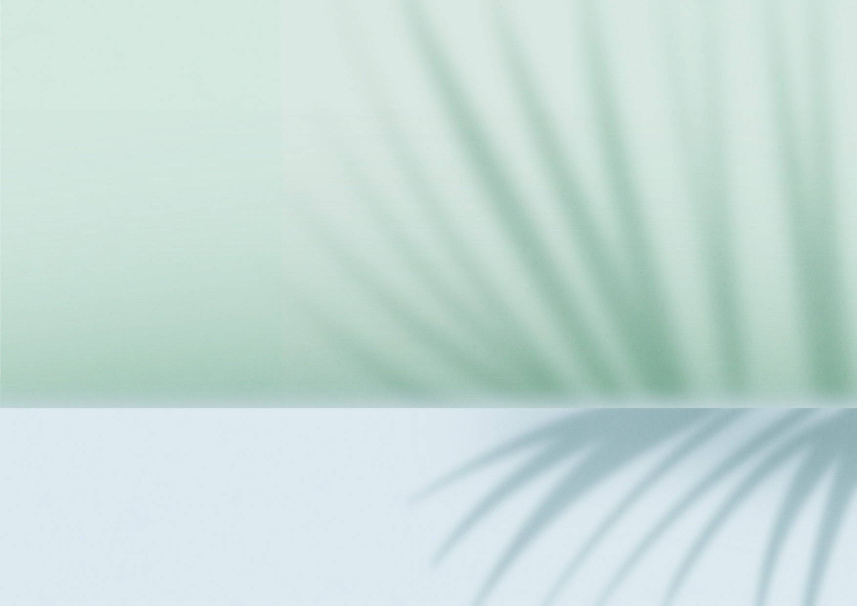 Shadow of leaves background design